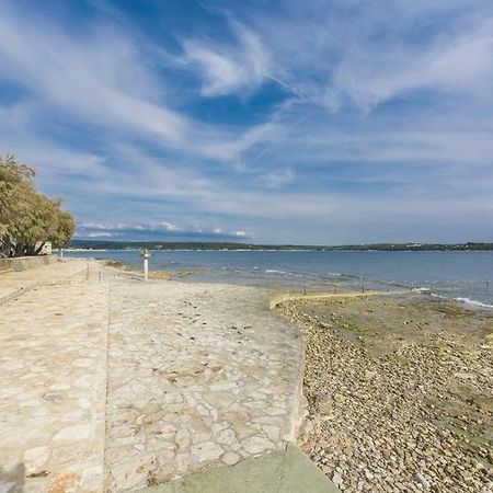 Novigrad Istria Apartment Lion מראה חיצוני תמונה