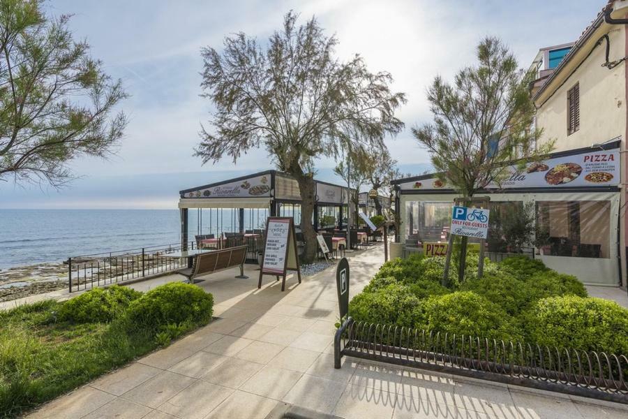 Novigrad Istria Apartment Lion מראה חיצוני תמונה